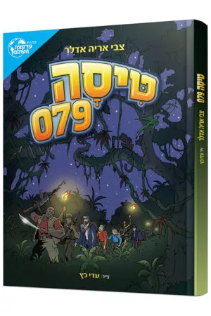 טיסה 079